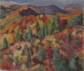 /album/novembre-2017-exposition-en-lhonneur-de-raymond-dumas/raymonde-img-6987-jpg2/